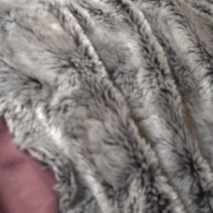 Meet your Posher, Ruby